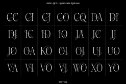 Aida | 10 Font Ligature Serif