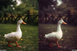 AI Vintage Vibes Lightroom Presets
