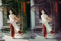 AI Vintage Vibes Lightroom Presets