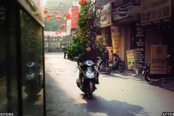 AI Vintage Vibes Lightroom Presets