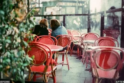 AI Vintage Vibes Lightroom Presets