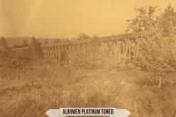 Albumen Silver Print LUTs