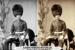 Albumen Silver Print LUTs