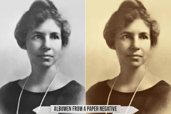 Albumen Silver Print LUTs