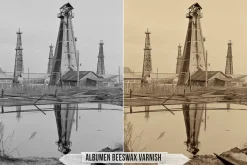 Albumen Silver Print LUTs