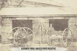 Albumen Silver Print LUTs