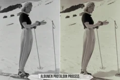 Albumen Silver Print LUTs