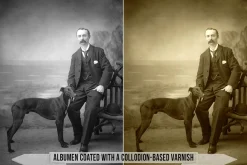 Albumen Silver Print LUTs