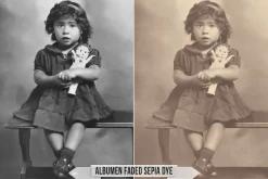 Albumen Silver Print LUTs