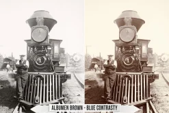 Albumen Silver Print LUTs