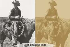 Albumen Silver Print LUTs
