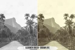 Albumen Silver Print LUTs