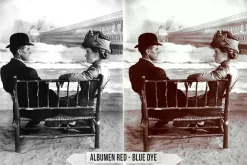 Albumen Silver Print LUTs