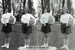 Albumen Silver Print LUTs