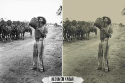 Albumen Silver Print LUTs