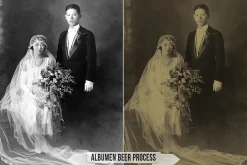 Albumen Silver Print LUTs