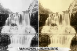 Albumen Silver Print LUTs