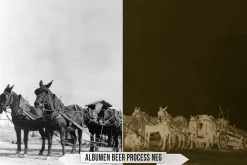 Albumen Silver Print LUTs