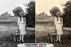 Albumen Silver Print LUTs
