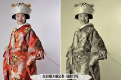 Albumen Silver Print LUTs