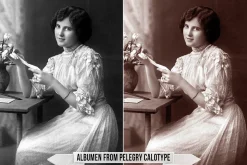 Albumen Silver Print LUTs