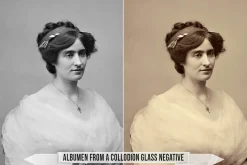 Albumen Silver Print LUTs