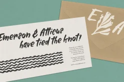 Alinka Brush Font