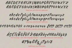 Alinka Brush Font
