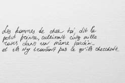 A Little Prince. Fairy tale.