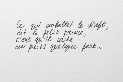 A Little Prince. Fairy tale.