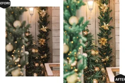 12 Alive Xmas Lightroom Presets