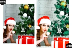 12 Alive Xmas Lightroom Presets