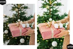12 Alive Xmas Lightroom Presets