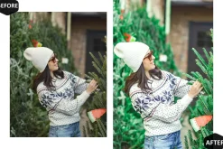 12 Alive Xmas Lightroom Presets