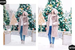 12 Alive Xmas Lightroom Presets