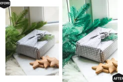 12 Alive Xmas Lightroom Presets