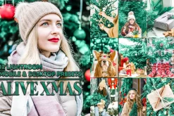 12 Alive Xmas Lightroom Presets