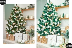 12 Alive Xmas Lightroom Presets