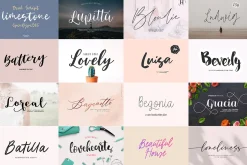 ALL MY FONTS Bundle