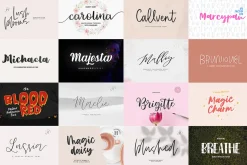 ALL MY FONTS Bundle