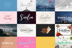 ALL MY FONTS Bundle