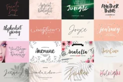 ALL MY FONTS Bundle