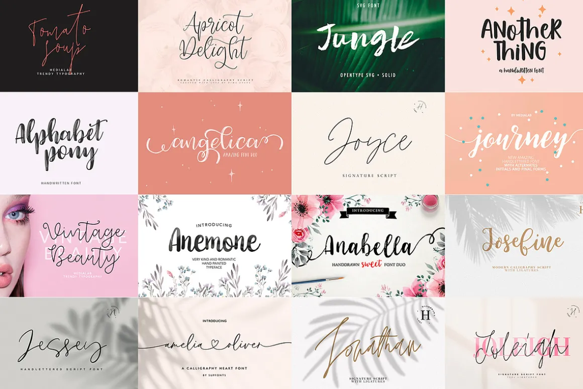 ALL MY FONTS Bundle