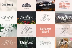 ALL MY FONTS Bundle
