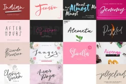 ALL MY FONTS Bundle