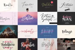 ALL MY FONTS Bundle