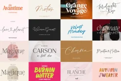 ALL MY FONTS Bundle