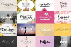 ALL MY FONTS Bundle