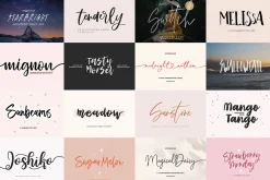 ALL MY FONTS Bundle