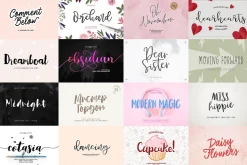 ALL MY FONTS Bundle